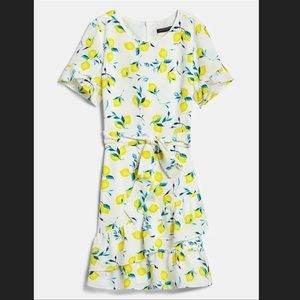 🌸✨NWT Banana Republic Factory Outlet Petite White Fit and Flare Lemon Dress